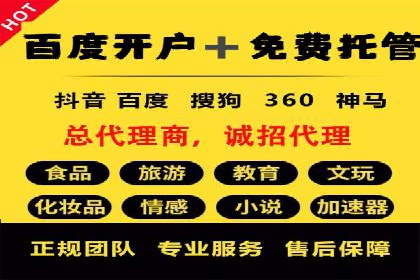行业领先！专业SEM托管的成功实践案例